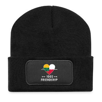 Litauen und Polen 100% Freundschaft - Recycelte Patch Beanie - Schwarz - Vorne