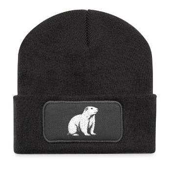 King of the Alpine Tranquility - Recycled Patch Beanie - dark grey - Front