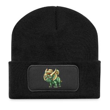 Dinosaure tricératops Sombrero - Beanie recyclé à patch - noir - Devant