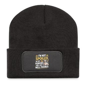 My Humans Are Well Trained Dog Lover Design  - Recycled Patch Beanie - dark grey - Front