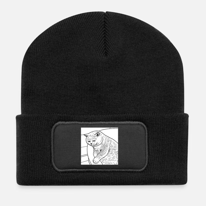 Linienzeichnung Entspannter Stubentiger - Recycelte Patch Beanie - Schwarz