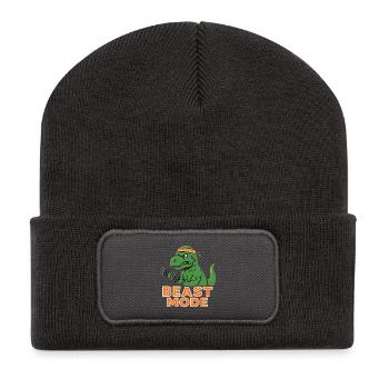 Dino Strength Training Fashion - Recycled Patch Beanie - dark grey - Front