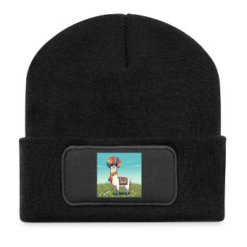 Funky Rainbow Llama - Recycled Patch Beanie - black - Front