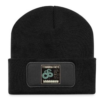 Titanoboa Facts Größte Schlange Ever - Recycelte Patch Beanie - Schwarz - Vorne