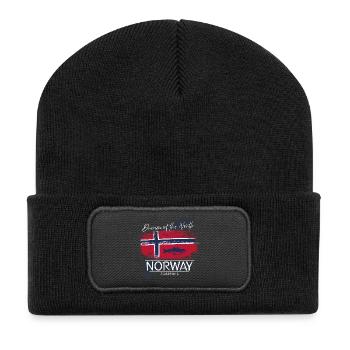 Dream Norway Flag Fish - Recycled Patch Beanie - black - Front