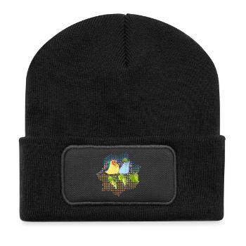 Colorful birds - Recycled Patch Beanie - black - Front