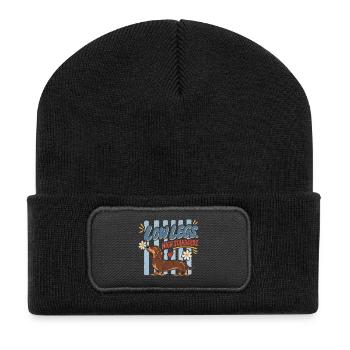 Dachshund Low Legs High Standards Retro - Recycled Patch Beanie - black - Front
