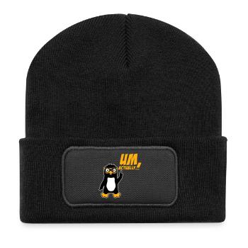 Pinguin Um Actually Lustig Nerd Klugscheißer Logo - Recycelte Patch Beanie - Schwarz - Vorne