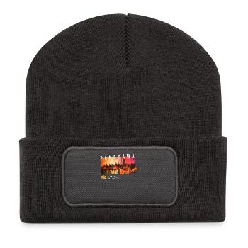 Panorama Amsterdam Palette - Beanie recyclé à patch - charbon - Devant