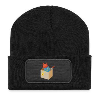 Kater Karl in the Box - Recycelte Patch Beanie - Schwarz - Vorne