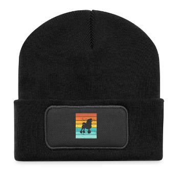 Poodle dog lover Retro vintage Gift idea - Recycled Patch Beanie - black - Front