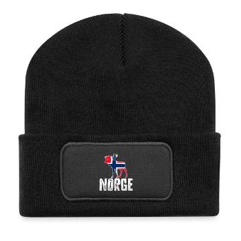 Norway - Recycled Patch Beanie - black - Front