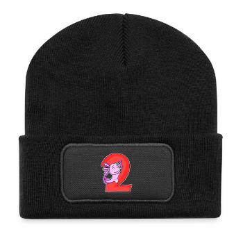 2 Jahre alt - 2. Geburtstag mit Tier Motiv - Recycelte Patch Beanie - Schwarz - Vorne