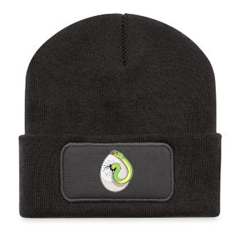 Snake Baby Pacifier - Recycled Patch Beanie - dark grey - Front