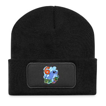 6th Birthday Motif Dolphin - Six Years - Recycled Patch Beanie - black - Front