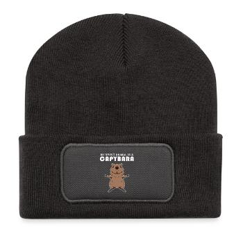 Capybara Wasserschwein Geschenk - Recycelte Patch Beanie - Dunkelgrau - Vorne