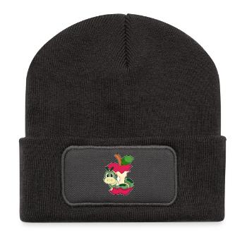 Caterpillar Apple - Recycled Patch Beanie - dark grey - Front