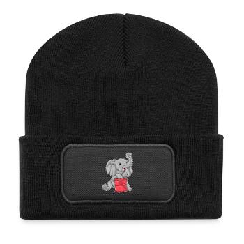 Elephant Chips - Recycled Patch Beanie - black - Front