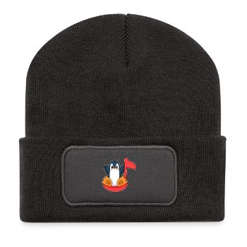 Note musicale du Pingouin - Beanie recyclé à patch - charbon - Devant