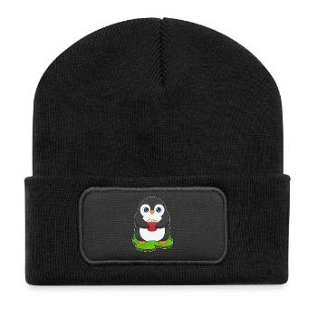 Pop-corn pingouin - Beanie recyclé à patch - noir - Devant