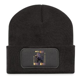 Just a boy who loves dinosaurs Spinosaurus - Recycled Patch Beanie - dark grey - Front