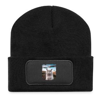 Funny British Shorthair Cat selfie with Alien UFOs - Recycled Patch Beanie - black - Front