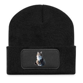 Cat Norwegian Forest Cat Norwegian Forest Cats - Recycled Patch Beanie - black - Front