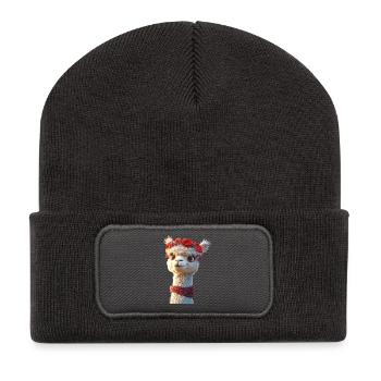Alpaga Sweet Llama La vie à la ferme est meilleure avec les alpagas - Beanie recyclé à patch - charbon - Devant