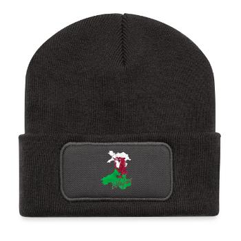 Drapeau du Pays de Galles, fierté galloise - Beanie recyclé à patch - charbon - Devant
