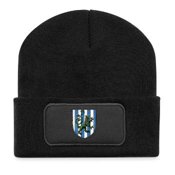 Armoiries dragon vert - Beanie recyclé à patch - noir - Devant