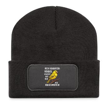 MEIN KANARIENVOGEL MACHT DIE HAUSMUSIK - Recycelte Patch Beanie - Dunkelgrau - Vorne