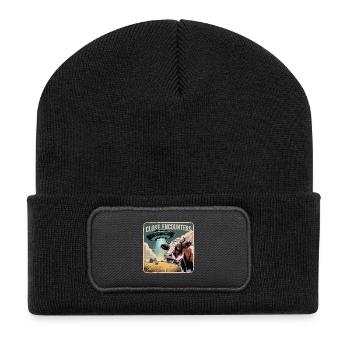 Extraterrestrial encounters on the farm - Recycled Patch Beanie - black - Front