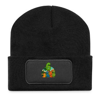 Dinosaurier 6. Geburtstag Kinder 6 Jahre Geschenk - Recycelte Patch Beanie - Schwarz - Vorne