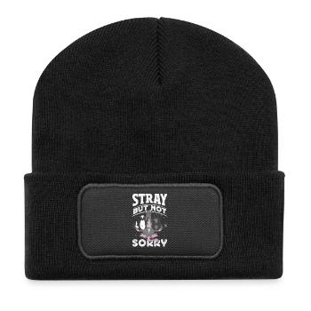 Support local street cats - Recycled Patch Beanie - black - Front