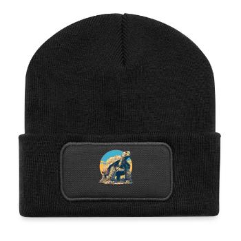 Tortoises Tortoise - Recycled Patch Beanie - black - Front