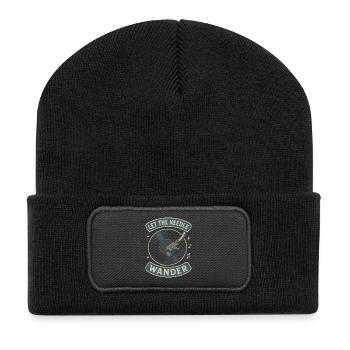 Let The Needle Wander Vinyl Record Lovers - Recycled Patch Beanie - black - Front