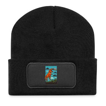 T Rex Catching Ufo Sky Encounter - Recycled Patch Beanie - black - Front