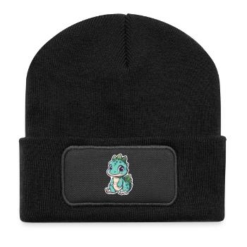 Dinosaur - Recycled Patch Beanie - black - Front