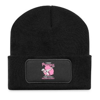 Paleontologist Dream Princess - Recycled Patch Beanie - black - Front