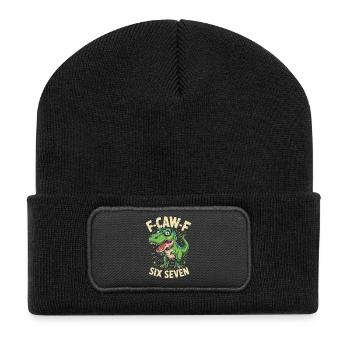 F-Caw-F Six Seven Dino - Recycled Patch Beanie - black - Front