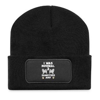 J’étais normal devant deux Samoyèdes - Beanie recyclé à patch - noir - Devant