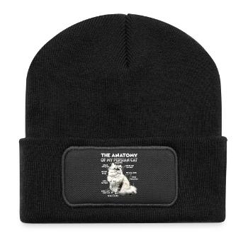 Persian Cats T | Persian Cat Cats Persian Cat - Recycled Patch Beanie - black - Front