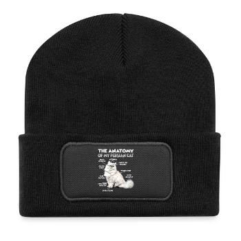 Dictons de chats Amateur de chats Cadeau Fan de chat - Beanie recyclé à patch - noir - Devant