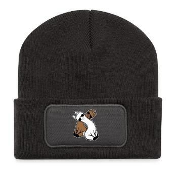 Two Llamas Pair 2 Friends Cool Sunglasses Team - Recycled Patch Beanie - dark grey - Front