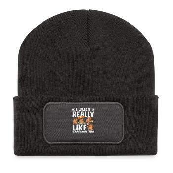 Ich Mag Capybaras Einfach Wirklich Niedlich Lustig - Recycelte Patch Beanie - Dunkelgrau - Vorne