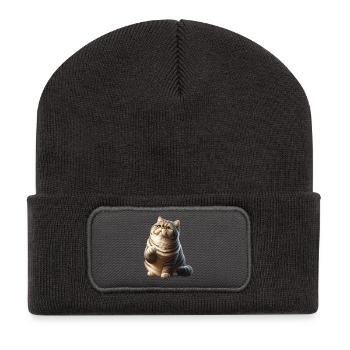Exotische Kurzhaarkatze Exotic Shorthair - Recycelte Patch Beanie - Dunkelgrau - Vorne