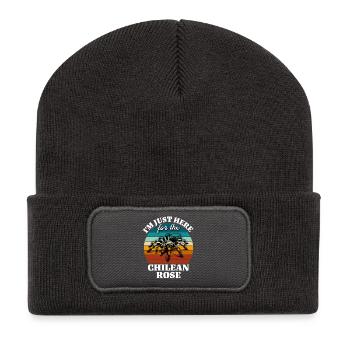 Funny Chile Tarantula Sayings - Recycled Patch Beanie - dark grey - Front