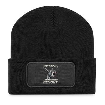 Domestic donkey dwarf donkey long-eared donkey farm - Recycled Patch Beanie - black - Front
