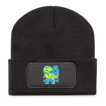 DINO 6 ANS DINOSAURE 6E ANNIVERSAIRE - Beanie recyclé à patch - charbon - Devant