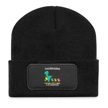 Teachersaurus Lehrer Humor mit kleinen Dinosaurier - Recycelte Patch Beanie - Schwarz - Vorne